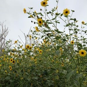 Meet your Posher, Janessa